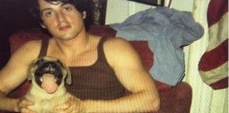 Sylvester Stallone: “Ho dovuto vendere il cane per mangiare”
