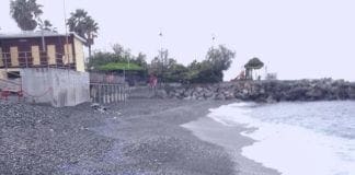 Pegli – Migliaia di piccole meduse “spiaggiate”, sono le velelle