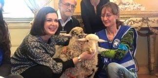 Boldrini adotta due agnellini e li porta a Montecitorio
