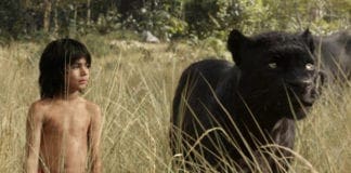 Trovata in India una bambina di 8 anni allevata dalle scimmie