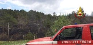 Barbecue fuori controllo: in fiamme i piani di Praglia