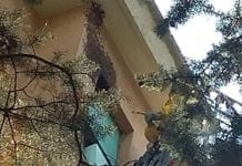 Sciame di api sulla facciata di un palazzo a Oregina