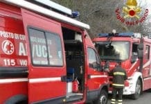Geoparco del Beigua, nove esemplari di alberi iscritti nell’elenco degli Alberi Monumentali d’Italia