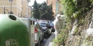 Genova – Marciapiedi invasi dalle erbacce in via Napoli