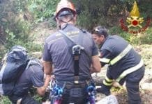 Campiglia, pino crolla lungo il sentiero: 50enne soccorso dai Vigili del Fuoco