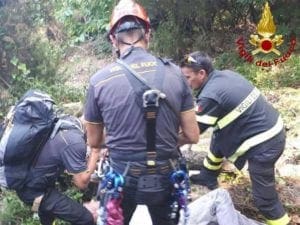 Pino crolla lungo il sentiero, 50enne salvato dai Vigili del Fuoco
