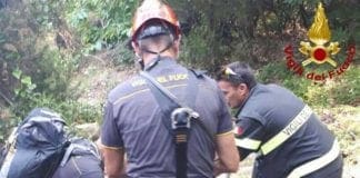 Campiglia, pino crolla lungo il sentiero: 50enne soccorso dai Vigili del Fuoco