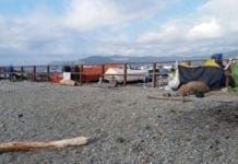 Savona, ripulita l’intera area del Prolungamento
