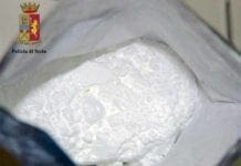 Genova, 10 chili di eroina e cocaina in un boschetto della Valbisagno cocaina