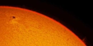 Osservatorio del Righi, fotografata una macchia solare
