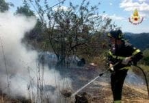 Incendi boschivi a La Spezia, intensa attività dei Vigili del Fuoco