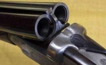 Caccia, dibattito pubblico alla Sala Sivori lunedì 27 ottobre fucile doppietta caccia