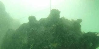 Vado Ligure – Trovati e sminati quattro ordigni bellici in mare