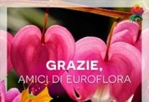 Euroflora 2018 lancia la challenge sui social