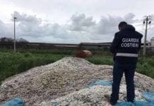 Malore a bordo di uno yacht, marittimo soccorso dalla Guardia Costiera