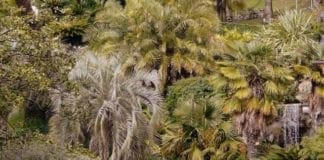 Chiavari, convenzione per il Parco di Villa Rocca: ingresso gratuito per gli iscritti al FAI