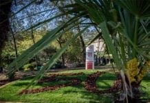 50 anni di Aism, un’aiula ad Euroflora per celebrare il suo impegno