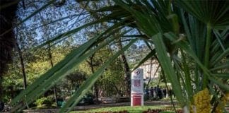 50 anni di Aism, un’aiula ad Euroflora per celebrare il suo impegno