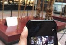 “Museo Segreto”, ecco la nuova app del Museo di Storia Naturale Doria
