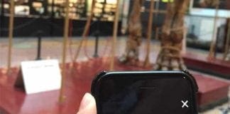 “Museo Segreto”, ecco la nuova app del Museo di Storia Naturale Doria