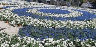 Euroflora 2018, Trenitalia aumenta servizi e treni. Ecco tutte le info