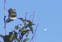 Sfera di luce nei cieli di Celle Ligure, avvistato un oggetto non identificato
