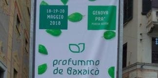 Genova Pra’, dal 18 al 21 maggio si terrà la 21° edizione del Festival del Basilico