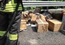 Genova Multedo, container in fiamme sulla A26 – VIDEO