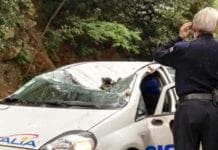 Genova – Auto colpita da un albero caduto, ferito il conducente