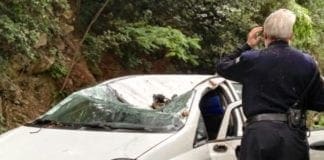 Genova – Auto colpita da un albero caduto, ferito il conducente