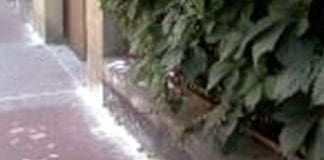 Polveri misteriose su marciapiedi e davanti ai negozi e scatta la psicosi