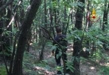 Anziano disperso nei boschi di Cavorsi, ricerche in corso
