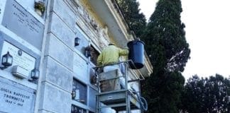 Sciame di api al cimitero di Staglieno, interviene l’apicoltore