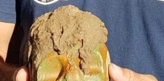 Genova – Trovati tre teschi in mare a Sturla durante una gara