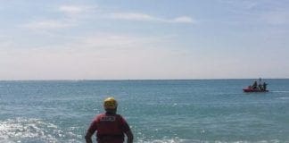 Voltri – Cani “bagnino” torneranno la prossima estate