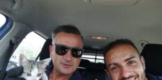 Sestri Levante, si fermano all’Autogrill e trovano un gattino nel motore