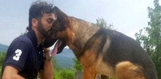 Kaos, la doppia bufala del “cane eroe avvelenato”