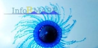 Diano Marina, avvistata una “medusa blu” ma è una rarissima Porpita porpita