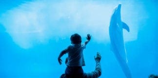 Acquario di Genova, arriva l’abbonamento annuale Acquariopass