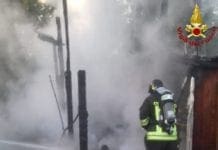 Sarzana, vigili del fuoco salvano pappagalli da un incendio