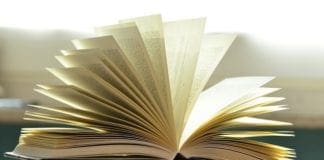 Passeggero rapinato e schiaffeggiato su Treno Napoli-Roma