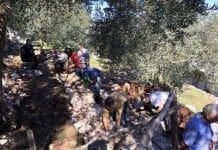 I muretti a secco diventano Patrimonio dell’Umanità Muri a secco