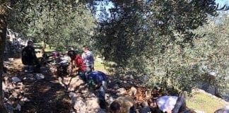 I muretti a secco diventano Patrimonio dell’Umanità Muri a secco