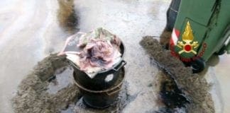 Arenzano, sversamento di idrocarburi in mare, arrivano i vigili del fuoco – VIDEO