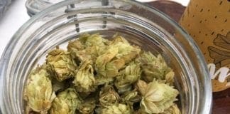 Parco del Beigua, l’Agribirrificio dell’Altavia nella nuova visita guidata