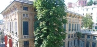 Palazzo Bianco riapre al pubblico, da domani un percorso rinnovato Palazzo Bianco