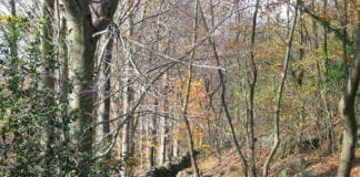 Parco del Beigua, escursione serale tra miti e leggende