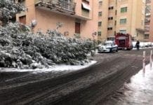 Neve a Genova, a Marassi precipita un albero davanti ad una scuola elementare