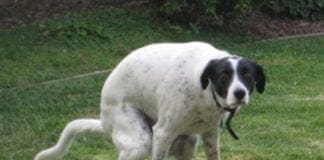 Riciclaggio e corruzione, dopo gli arresti di ieri spunta il nome del ministro Alfano