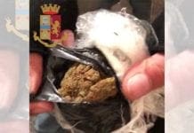 Genova, ad Albaro fermato 18enne con mezzo chilo di marijuana marijuana